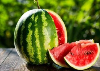 წელს, საქართველოდან საზამთროს ექსპორტი 600%-ზე მეტად გაიზარდა – მთავარი ბაზარი რუსეთია