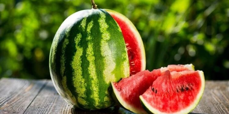 წელს, საქართველოდან საზამთროს ექსპორტი 600%-ზე მეტად გაიზარდა – მთავარი ბაზარი რუსეთია