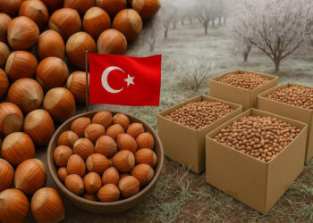 თურქეთმა თხილის ფასი 50%-ით გაზარდა – მიზეზები