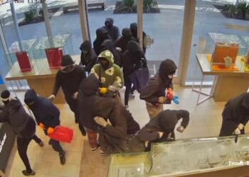 25-მა შეიარაღებულმა პირმა საიუველირო მაღაზია გაძარცვა, მოპარულია მილიონი დოლარის ღირებულების საქონელი