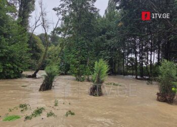 კახეთში ძლიერმა წვიმამ პრობლემები შექმნა