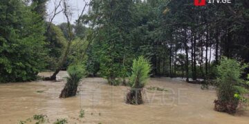 კახეთში ძლიერმა წვიმამ პრობლემები შექმნა