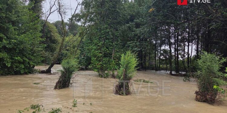 კახეთში ძლიერმა წვიმამ პრობლემები შექმნა