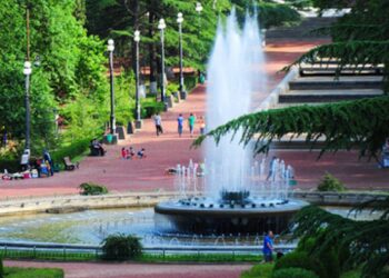 ვაკის პარკში ერთ-ერთ ნაგებობას ხე დაეცა