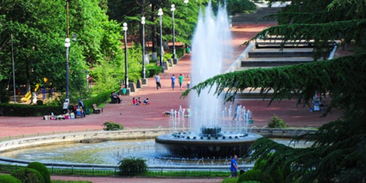 ვაკის პარკში ერთ-ერთ ნაგებობას ხე დაეცა