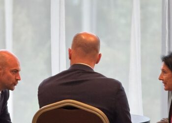 სალომე ზურაბიშვილი ჟან-ნოელ ბაროს და ბენჟამინ ჰადადს შეხვდა