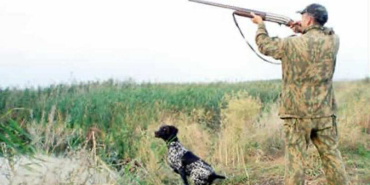 გურიაში უკანონო ნადირობის 44 ფაქტი გამოვლინდა