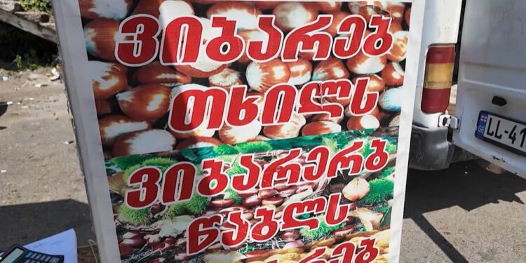 რა ღირს დღეს ოზურგეთში სხვადასხვა ჯიშის თხილი