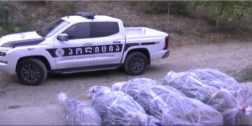 ვიდეო – პოლიციამ გურიაში და საქართველოს სხვა რეგიონებში სხვადასხვა სახის ნარკოტიკი ამოიღო, დაკავებულია 7 პირი