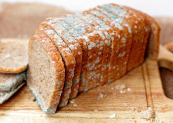 „ყველის ობი სასარგებლოა, პურისა და მურაბის კი – ჯანმრთელობისთვის საზიანო“ – ირაკლი არაბული