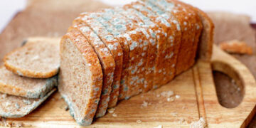 „ყველის ობი სასარგებლოა, პურისა და მურაბის კი – ჯანმრთელობისთვის საზიანო“ – ირაკლი არაბული