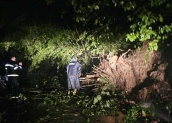 სტიქია სამეგრელოში – დაიტბორა რამდენიმე სოფელი, ნაკვეთები, ჩამოწვა მეწყერი