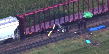 აშშ-ში ვერტმფრენი ჩამოვარდა – ყველა მგზავრი დაიღუპა