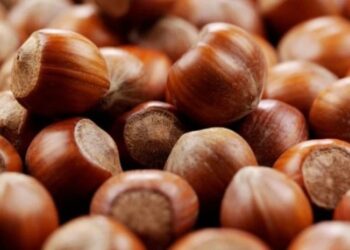 “წელს თხილის ფასი 30%-ით უკვე გაიზარდა… ვფიქრობ, ზრდის ტენდენცია შენარჩუნდება” – “ნათს ინქორფორეითიდის” დირექტორი