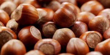 “წელს თხილის ფასი 30%-ით უკვე გაიზარდა… ვფიქრობ, ზრდის ტენდენცია შენარჩუნდება” – “ნათს ინქორფორეითიდის” დირექტორი