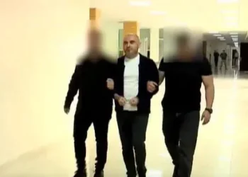 სუსი ხაბეიშვილის დაკავებაზე განცხადებას ავრცელებს