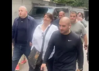 ელენე ხოშტარია დააკავეს