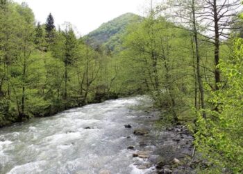 გურიაში რომელი ჰესების გაგეგმილი მშენებლობა შეჩერდა – მთავრობის გადაწყვეტილება