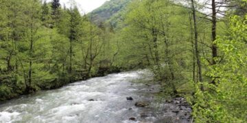 გურიაში რომელი ჰესების გაგეგმილი მშენებლობა შეჩერდა – მთავრობის გადაწყვეტილება