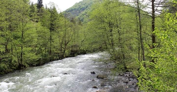 გურიაში რომელი ჰესების გაგეგმილი მშენებლობა შეჩერდა – მთავრობის გადაწყვეტილება