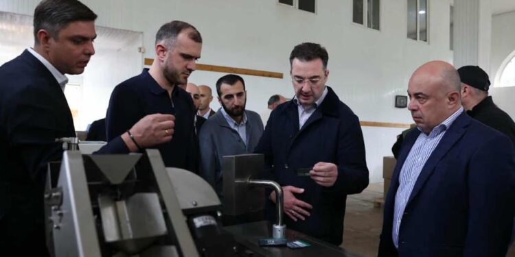 გურიაში სახელმწიფო მხარდაჭერით შექმნილი საწარმო 20 სახეობის ჩაის აწარმოებს