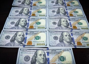 900 დოლარის ქრთამის აღებისთვის უბნის ტყის მცველი დააკავეს