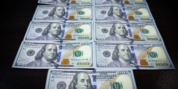 900 დოლარის ქრთამის აღებისთვის უბნის ტყის მცველი დააკავეს