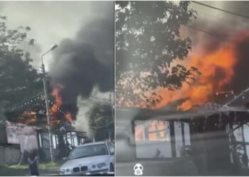 ვიდეო – თბილისის ზღვის მიმდებარე ტერიტორიაზე ხანძარი იყო