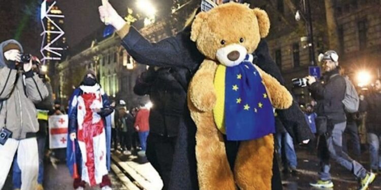 შსს-მ აქტივისტი ნანა სანდერი დააკავა