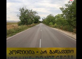 ახალგაზრდა კაცი გზაზე გარდაცვლილი იპოვეს – წინასწარი ინფორმაციით, მას ავტომობილი დაეჯახა