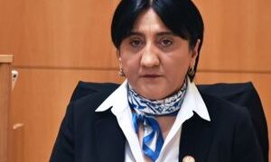 ათი წლის განმავლობაში კობახიძე ტყუილითა და ცილისწამებით არწმუნებდა ივანიშვილს, რომ ყველა მტერია – ირმა ინაშვილი