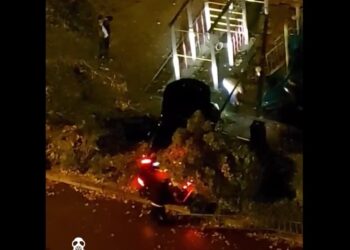 ვიდეო – თბილისში, სკვერში ავტომანქანა შევარდა