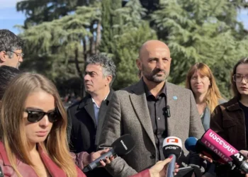 ლევან ცუცქირიძემ თანაგუნდელებთან ერთად „დემოკრატიული წინააღმდეგობის ახალი ეტაპის 10-პუნქტიანი გეგმა“ წარადგინა