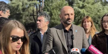 ლევან ცუცქირიძემ თანაგუნდელებთან ერთად „დემოკრატიული წინააღმდეგობის ახალი ეტაპის 10-პუნქტიანი გეგმა“ წარადგინა