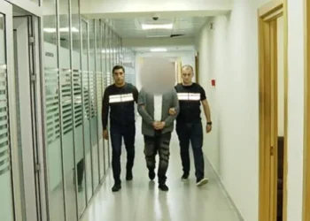 14 წლამდე გერისა და სტუმრად მყოფი ასევე არასრულწლოვანი ნათესავის მიმართ გარყვნილი და სექსუალური ხასიათის ქმედების ბრალდებით 30 წლამდე კაცი დააკავეს