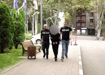 დააკავეს პირი, რომელმაც თბილისში ერთ ღამეში 12 მანქანა გაქურდა