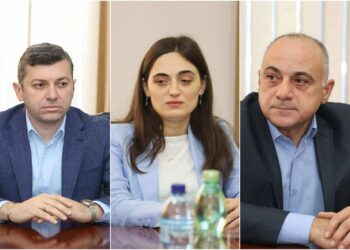 ოზურგეთის მუნიციპალიტეტის მერს სამი მოადგილე ეყოლება