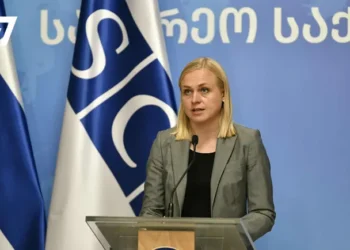 ელინა ვალტონენი – საქართველოს მთავრობამ უნდა იპოვოს გზა კრიზისიდან გამოსასვლელად