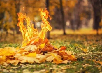 გარემოსდაცვითი ზედამხედველობის დეპარტამენტი, მოქალაქეებს მოუწოდებს, არ დაწვან ეზოში მოგროვებული ფოთლები