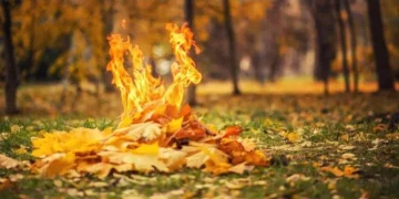 გარემოსდაცვითი ზედამხედველობის დეპარტამენტი, მოქალაქეებს მოუწოდებს, არ დაწვან ეზოში მოგროვებული ფოთლები