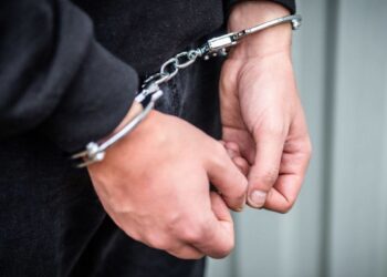 არასრულწლოვნის პორნოგრაფიულ მასალებს ინახავდა და ავრცელებდა – შსს-მ 1 პირი დააკავა