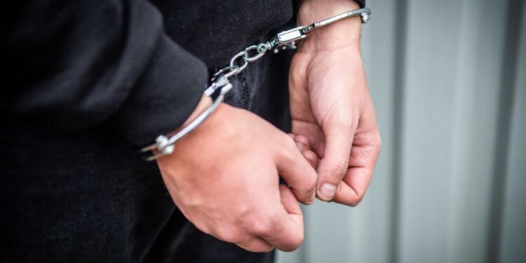 არასრულწლოვნის პორნოგრაფიულ მასალებს ინახავდა და ავრცელებდა – შსს-მ 1 პირი დააკავა