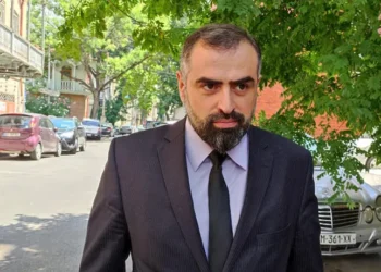 სამართალდამცავებმა კიდევ ერთი აქტივისტი, იმედა კლდიაშვილი დააკავეს