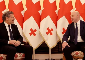 მიხეილ ყაველაშვილმა საკონსტიტუციო სასამართლოს მოსამართლედ გიორგი მოდებაძე დანიშნა