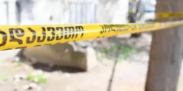 ქარელში ხელის ტრაქტორის გამოყენებისას ორი მამაკაცი დაიღუპა