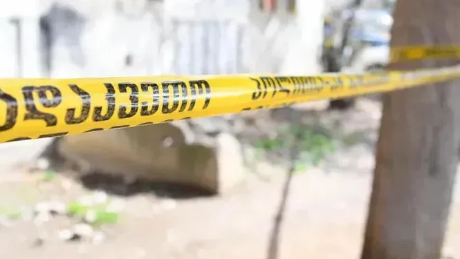 ქარელში ხელის ტრაქტორის გამოყენებისას ორი მამაკაცი დაიღუპა