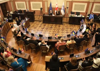 ახალარჩეულ საკრებულოებში ახალი თანამდებობები შეიქმნება