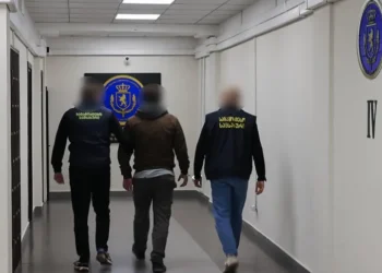 გრანტის სახით გამოყოფილი დიდი ოდენობით თანხის ჯგუფურად თაღლითურად დაუფლების საქმეზე კიდევ 4 პირი დააკავეს