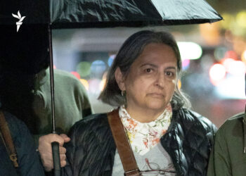 დააკავეს პედაგოგი მანანა ჯავაშვილი, გურამ წიბახაშვილის მეუღლე