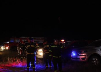 შსს: თვითმფრინავის ჩამოვარდნის ადგილზე სამაშველო და საგამოძიებო მოქმედებები მიმდინარეობს